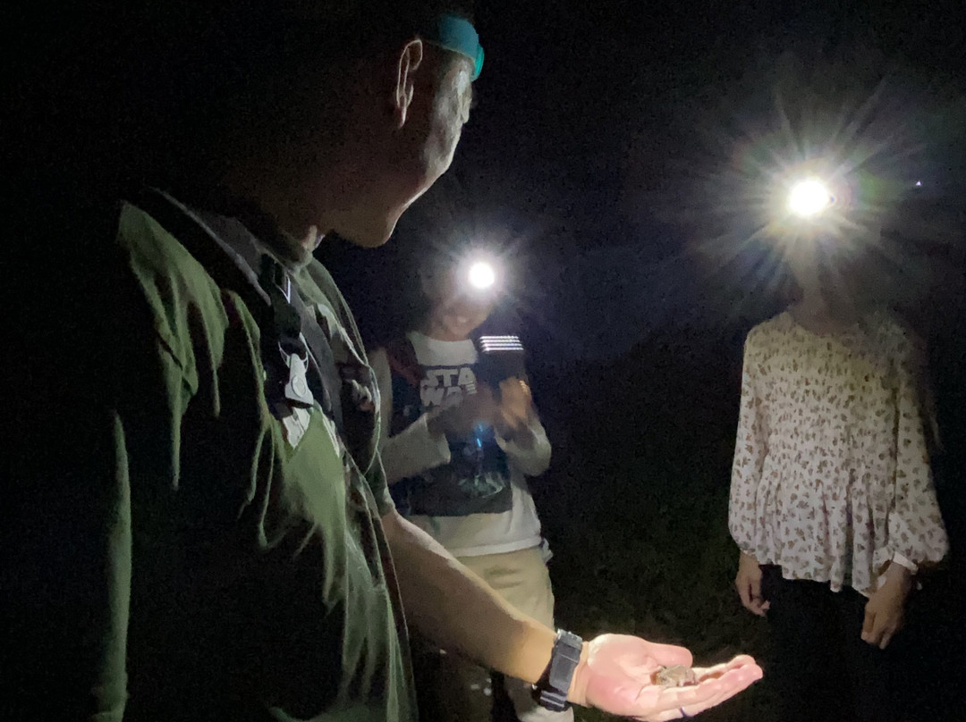 Royal Tusker Udawalawa主图