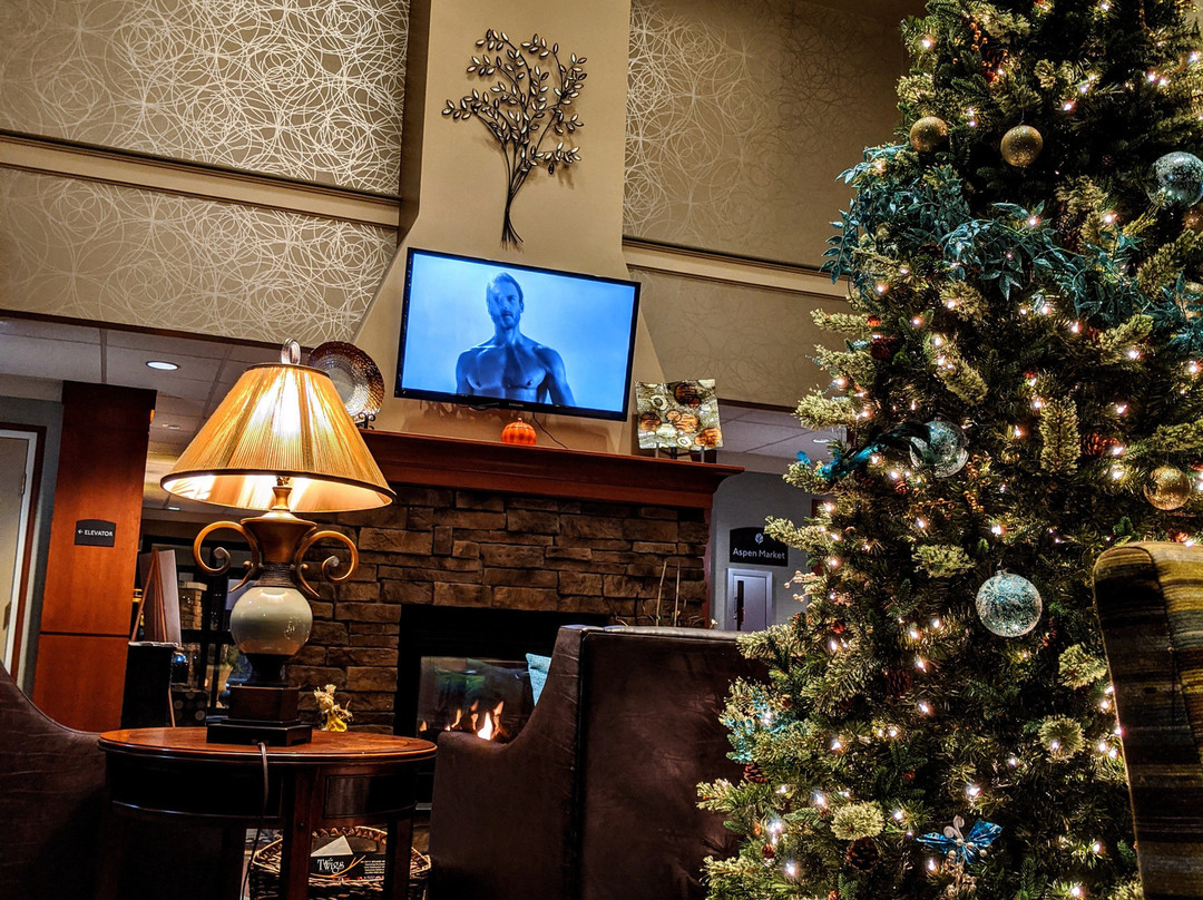 Aspen Suites Rochester主图