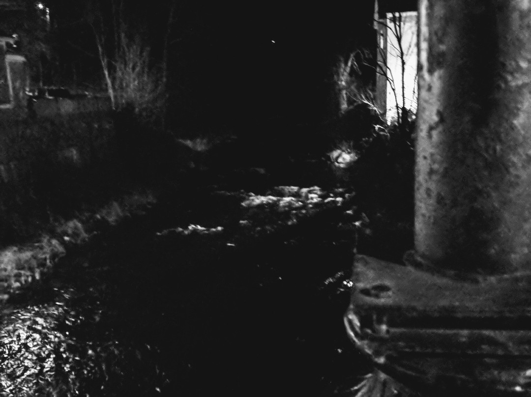 The Vermont House主图