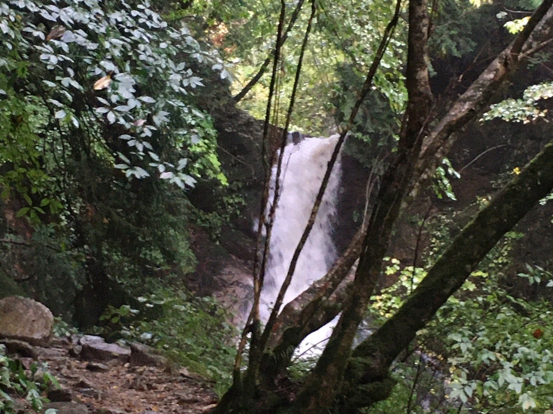 Odaki-Medaki Waterfalls景点图片