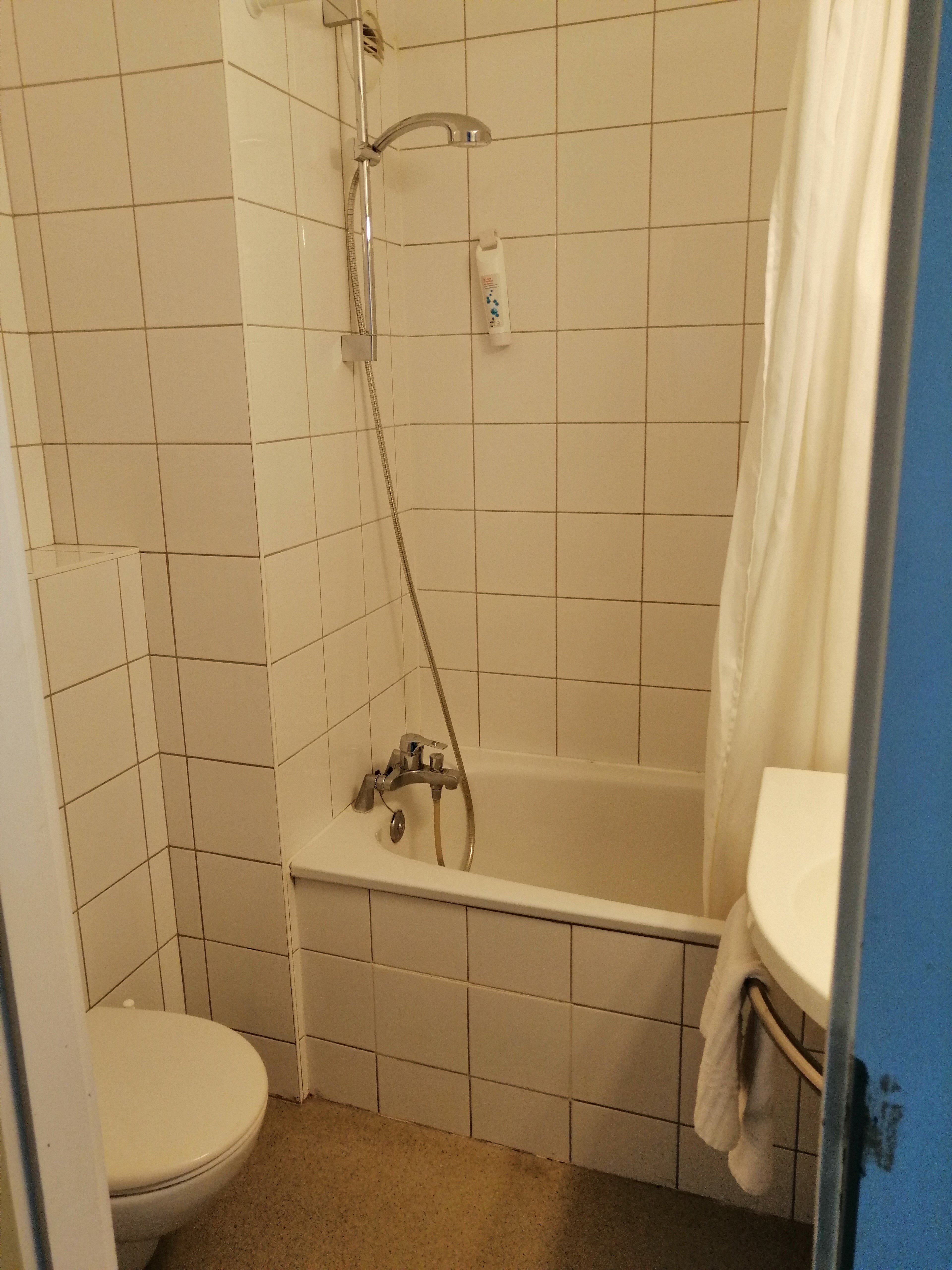 斯特拉斯堡南宜必思快捷 Illkirch Geispolsheim 酒店-portrait