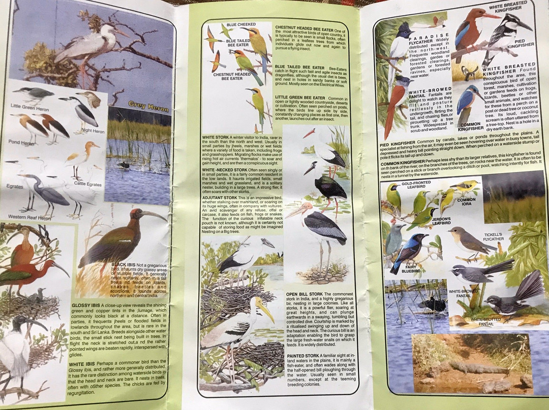 Dr. Salim Ali Bird Sanctuary景点图片