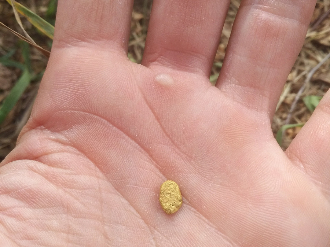 Fireside Adventures-里士满必去景点