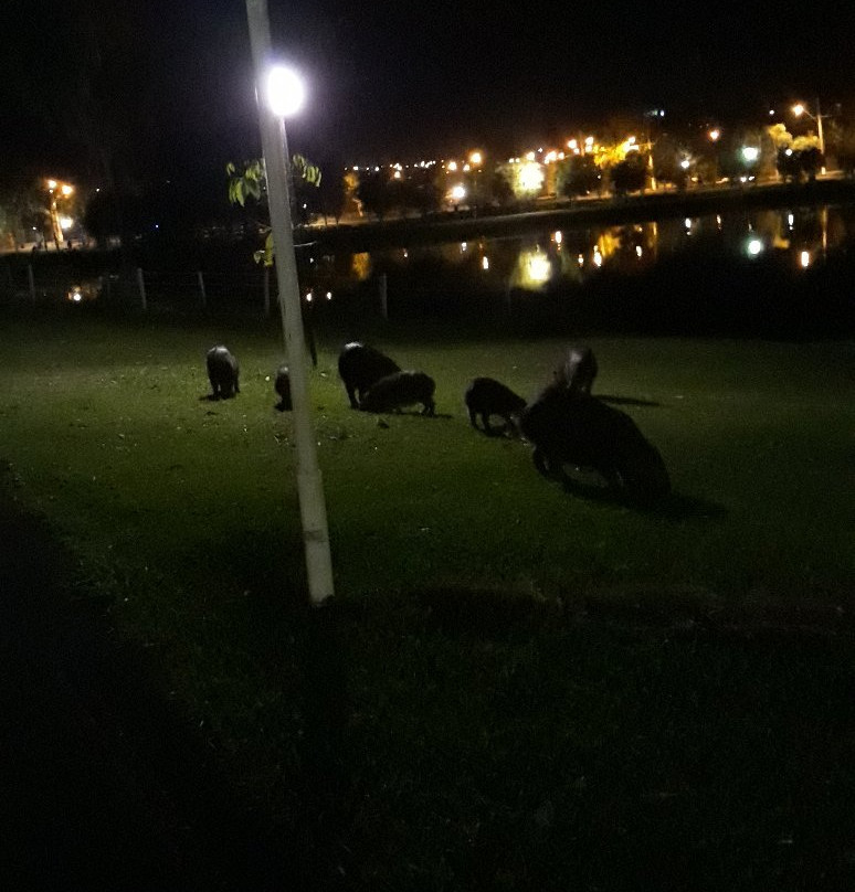 Dr. Renato Pagano Ecological Park-Cravinhos必去景点