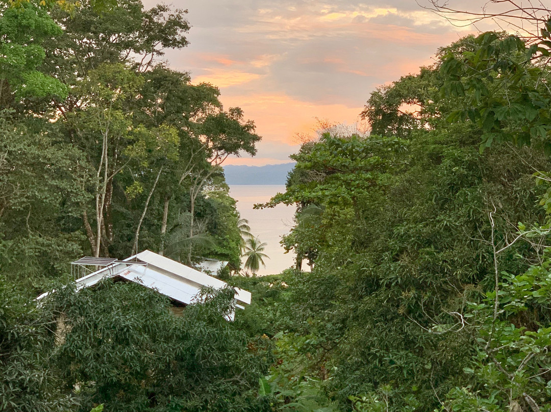 Casa Bambu Beach Resort主图