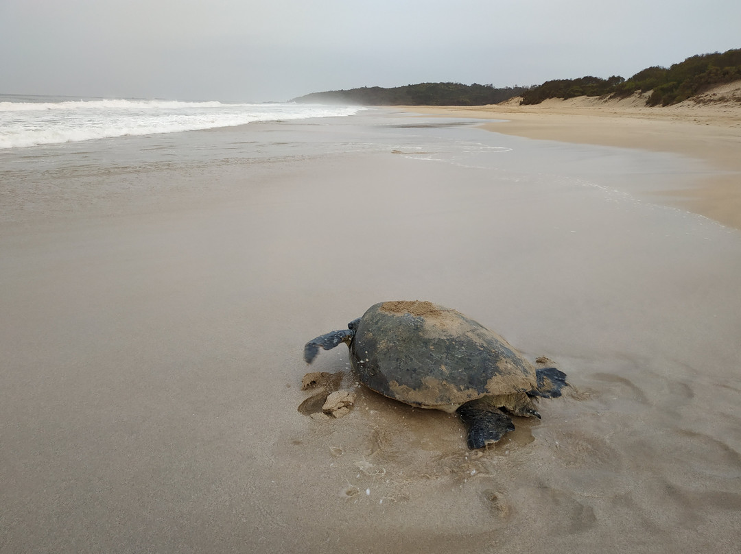 Ujung Genteng Beach-苏加武眉必去景点
