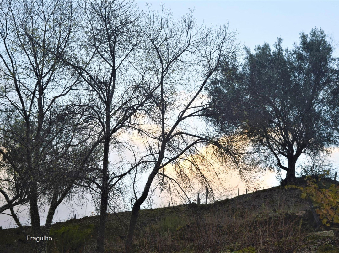 Casa dos Lagares - Vinhos Fragulho-Sanfins do Douro必去景点