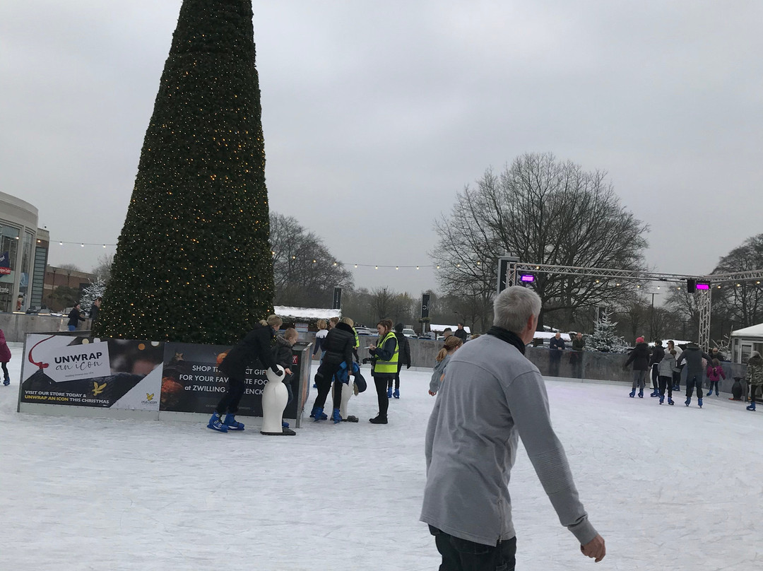 Yorkshire's Winter Wonderland景点图片