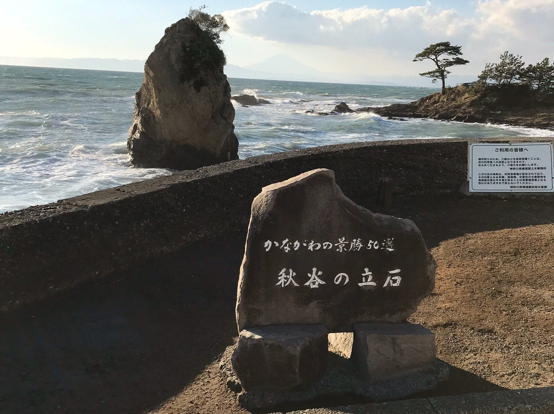 Tateishi Park景点图片