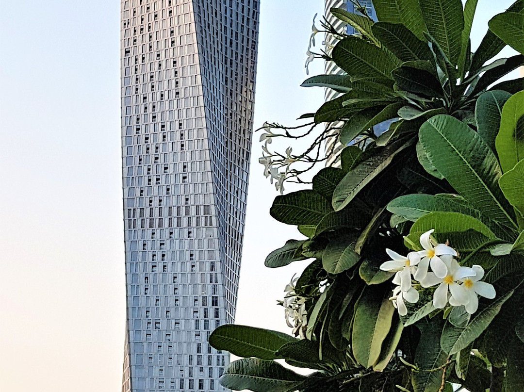 Cayan Tower景点图片