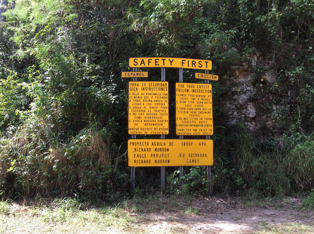 Guajataca Forest Reserve-Isabela必去景点