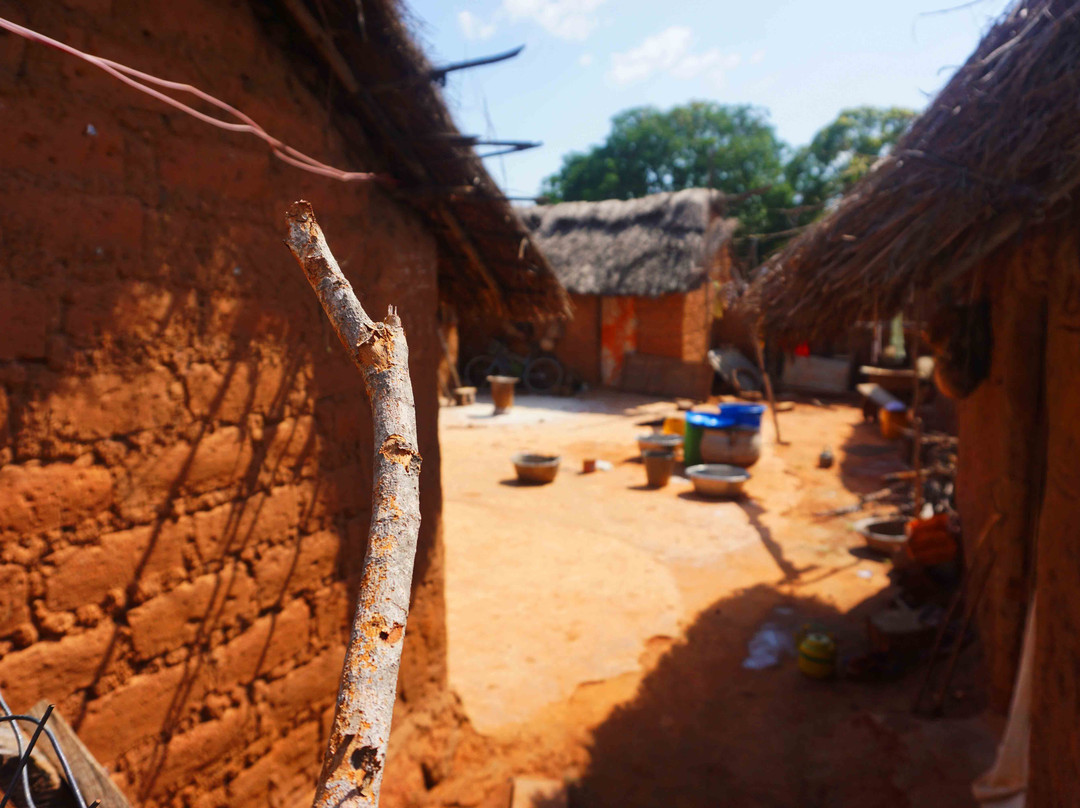 Best Ghana Tours-Tamale必去景点