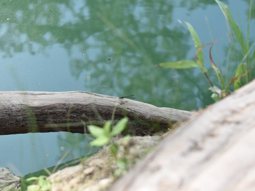 Medina River-Medina必去景点