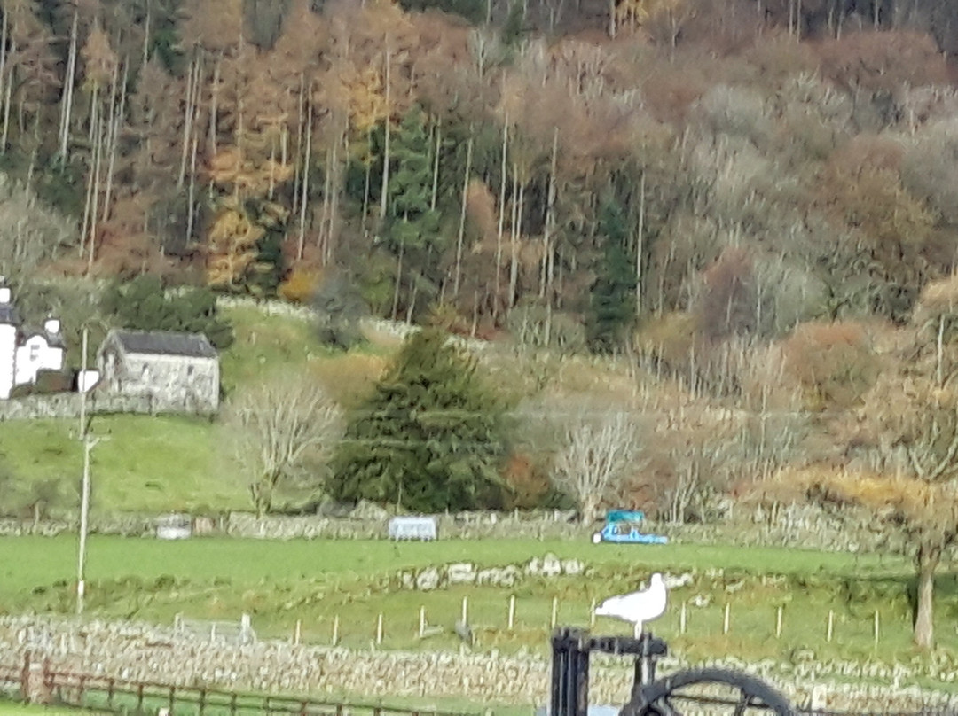 The Wilson's Arms主图