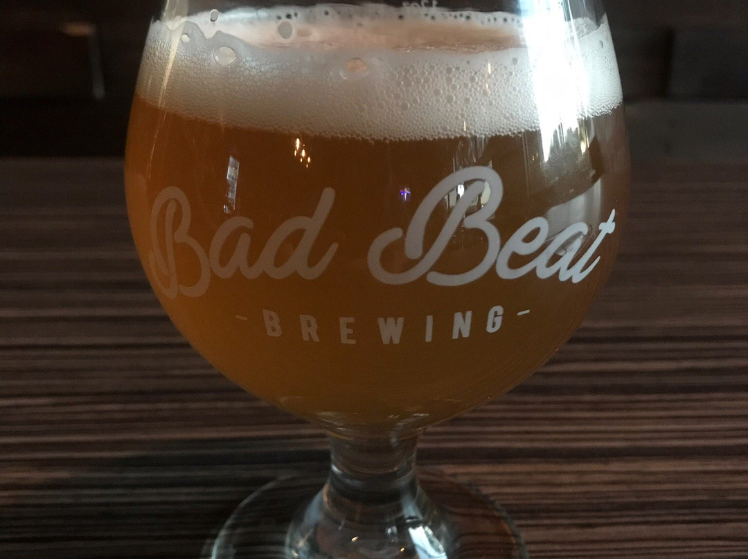 Bad Beat Brewing-亨德森必去景点