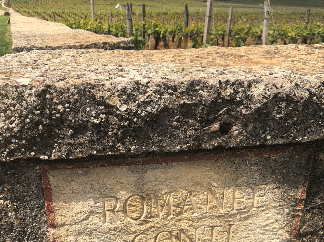 Domaine de la Romanee-Conti景点图片