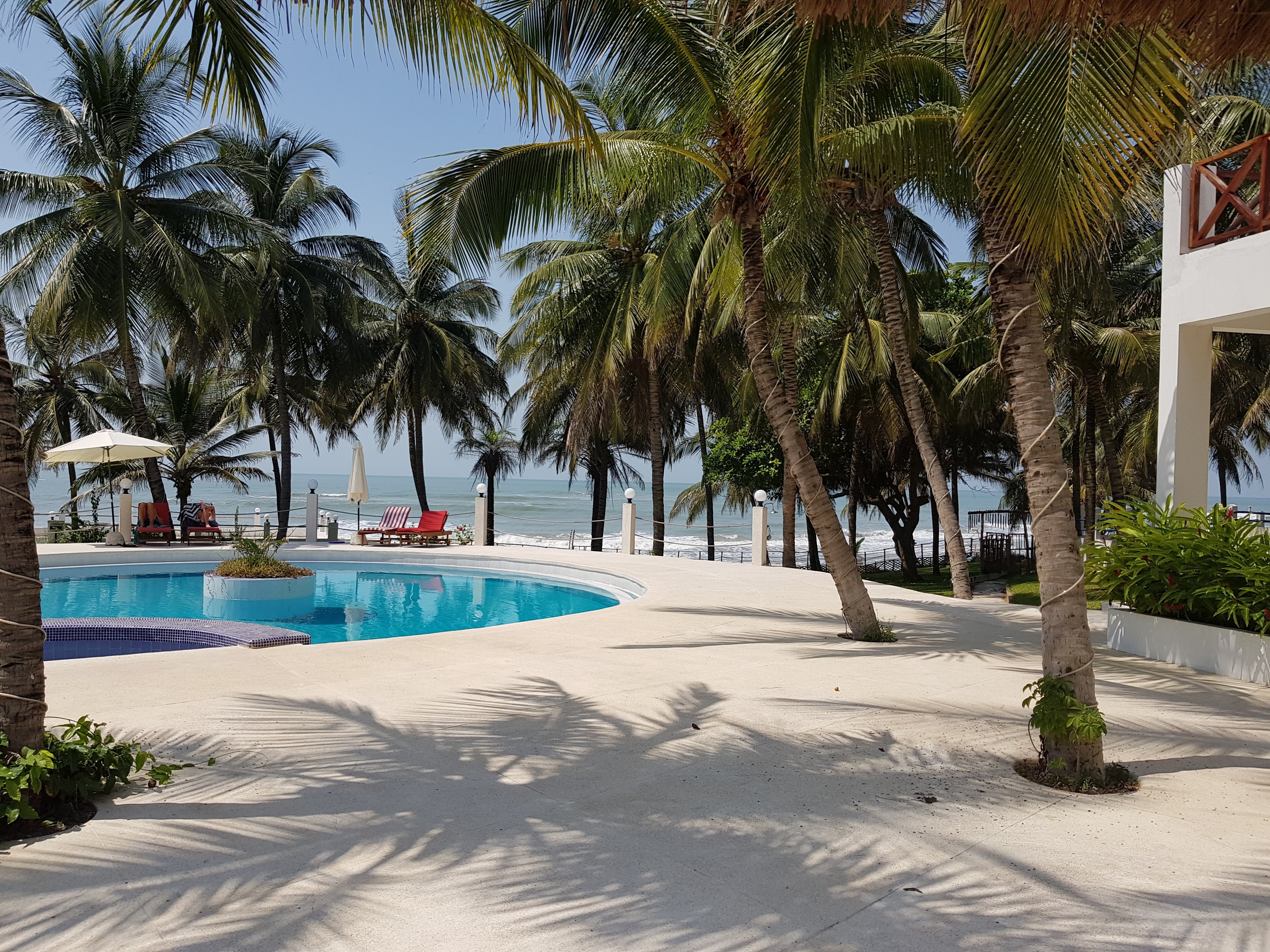 Hotel Hibiscus-泳池