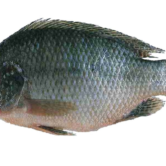 Khursheed Family Restaurant