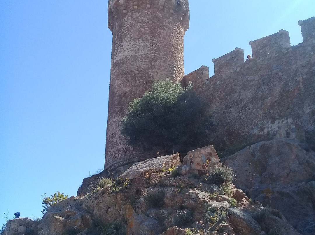 Castillo de Tossa de Mar景点图片