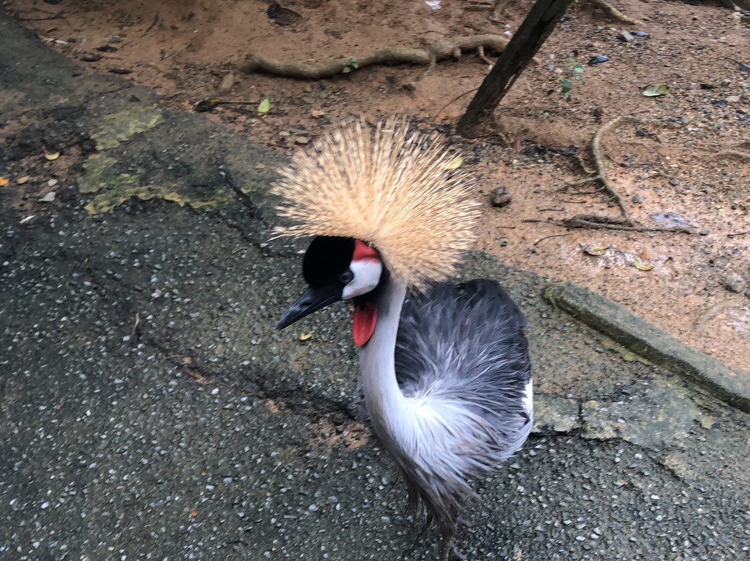 Majin No Tsubo主图