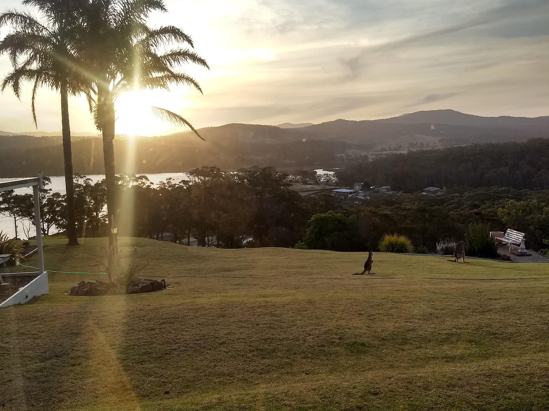 Norfolk Pine Motel主图