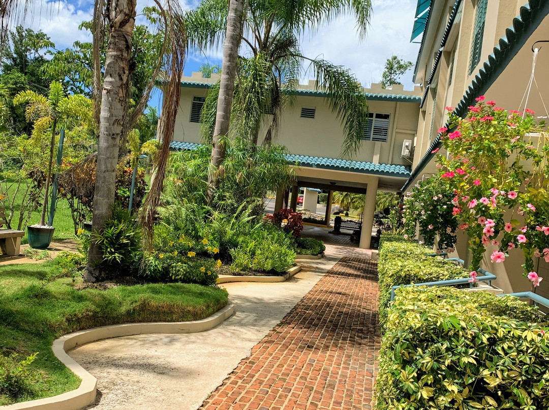 Hotel El Castillo主图