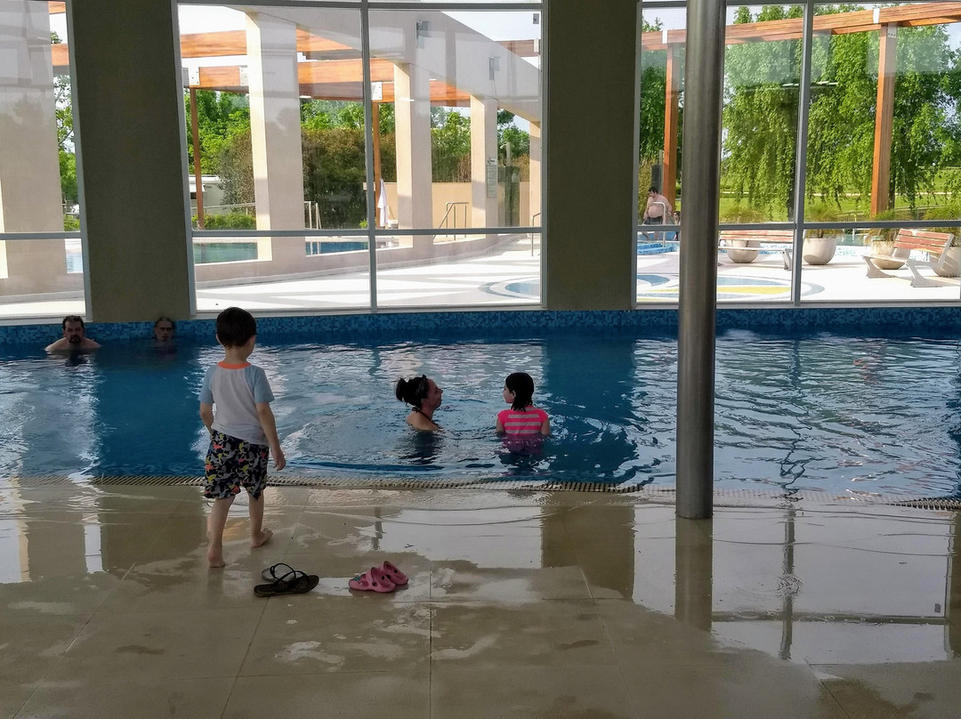 Termas Villa Elisa主图