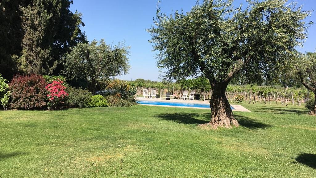 Conalbi Grinberg Casa Vinicola主图