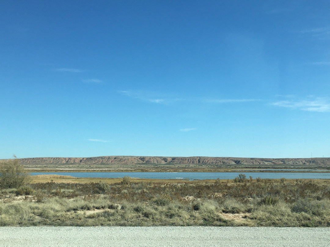 Bitter Lake National Wildlife Refuge-罗斯威尔必去景点