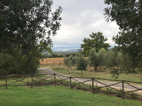 波德尔布里齐奥乡村民宿主图