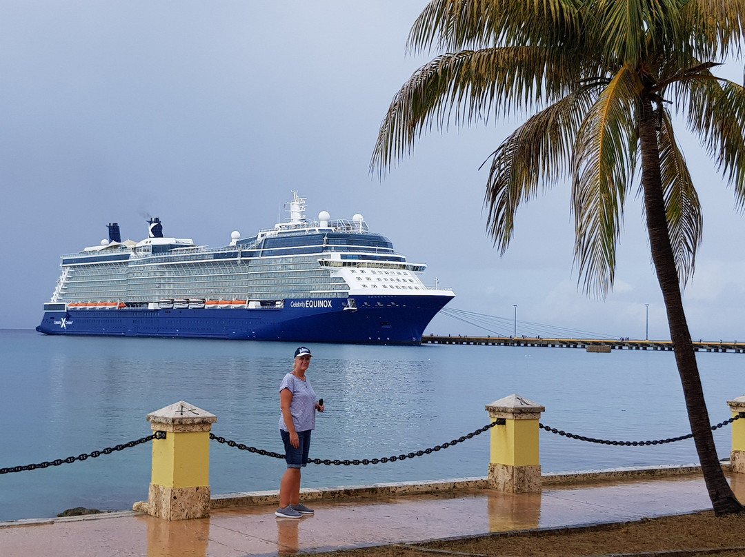Verne I. Richards Veteran Memorial Park-Frederiksted必去景点