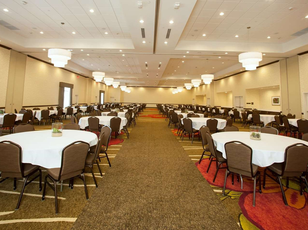 Hilton Garden Inn San Antonio/live Oak主图