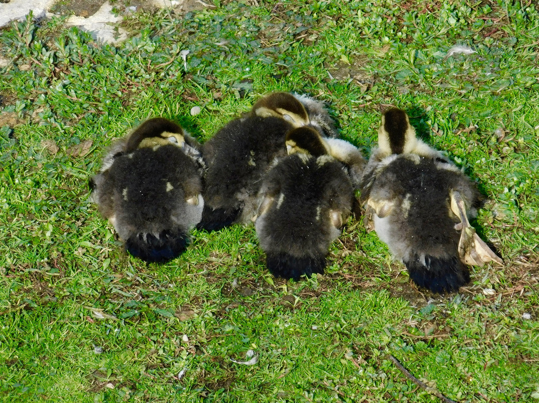 Parque de La Taconera-潘普洛纳必去景点