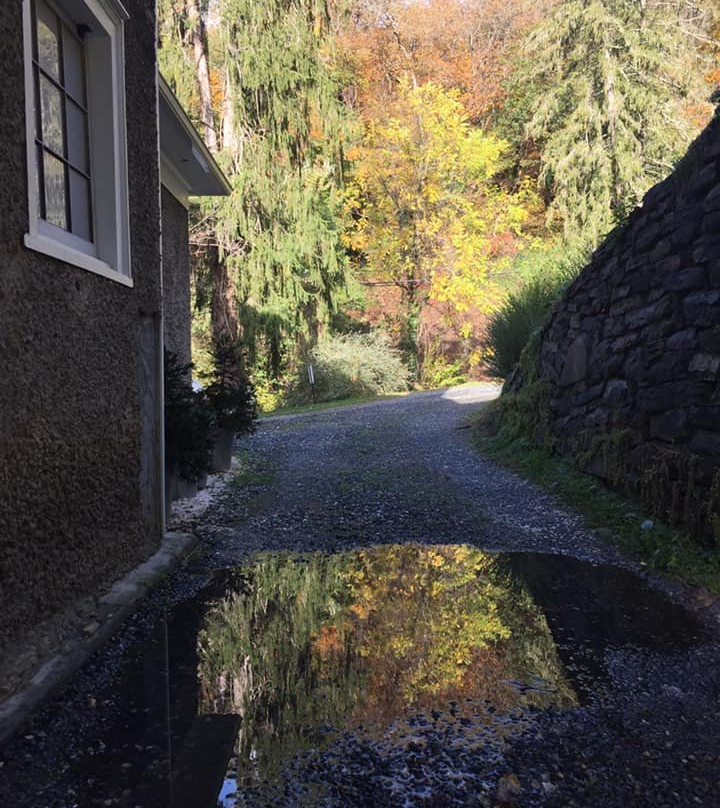 Marshall House Inn主图