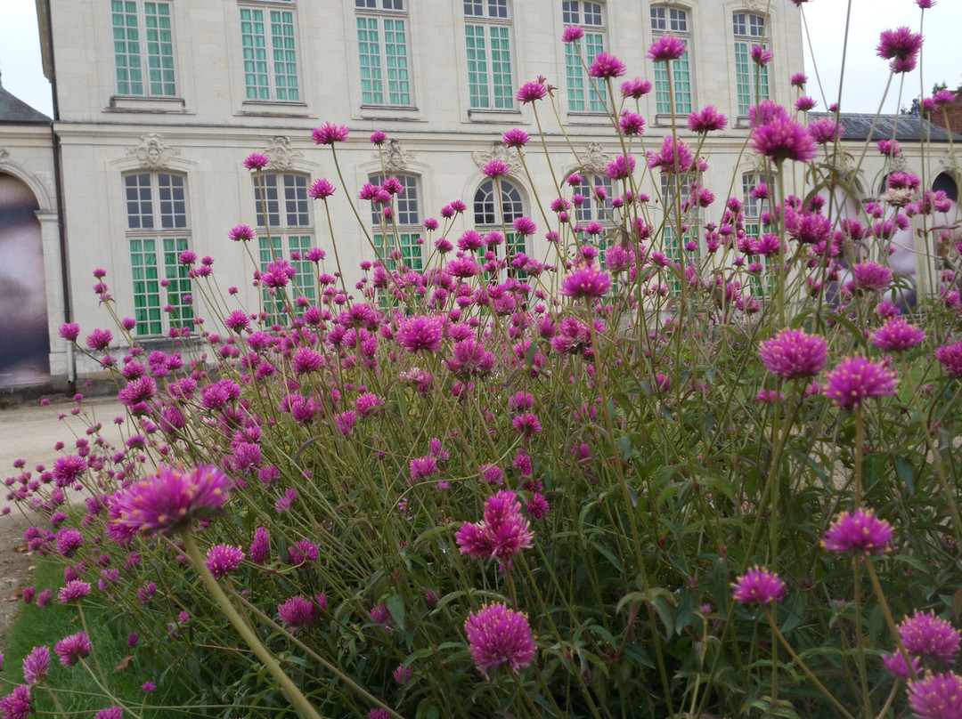 Parc du Grand Blottereau景点图片