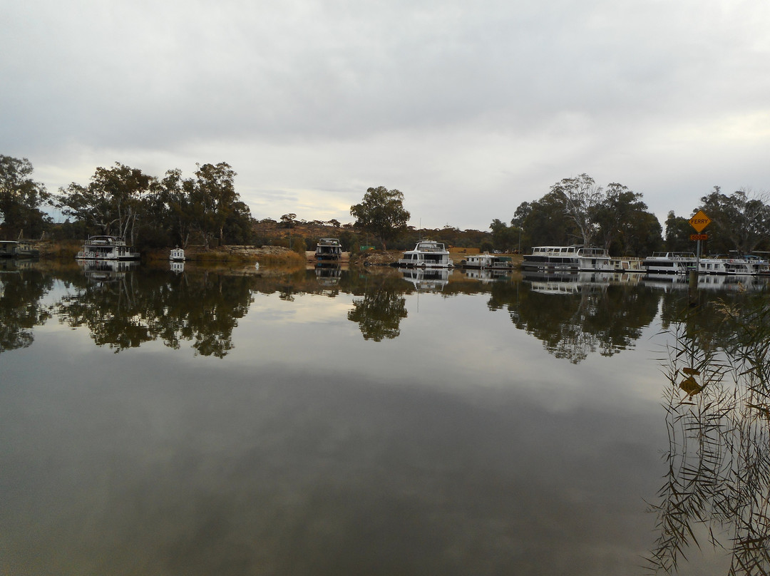 River Murray Ferries景点图片