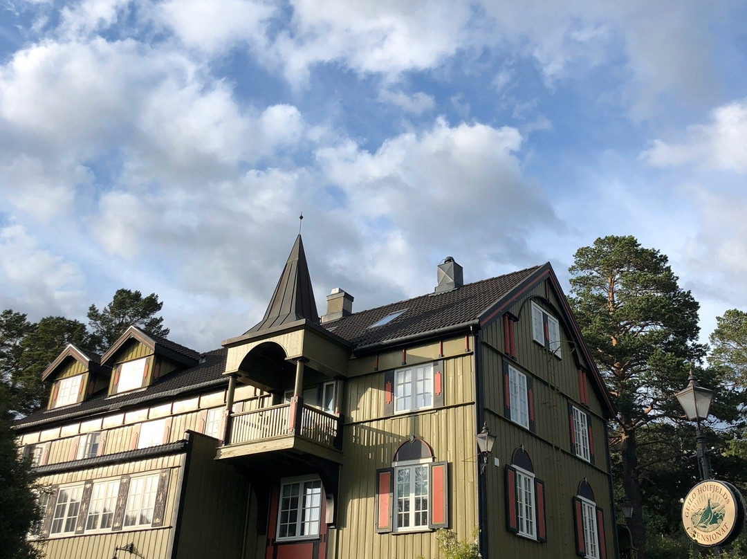 Geilo Mountain Lodge主图