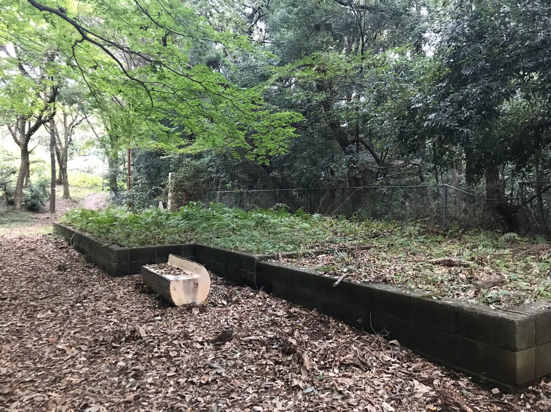 富士山公园-座间市必去景点