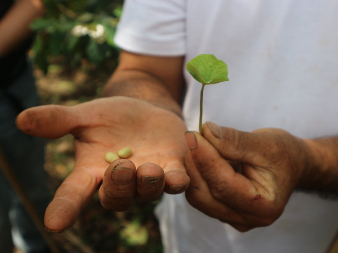 Finca Tematica La Divisa-Filandia必去景点