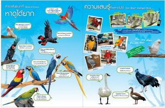 Suan Palm Farm Nok-埪坚必去景点