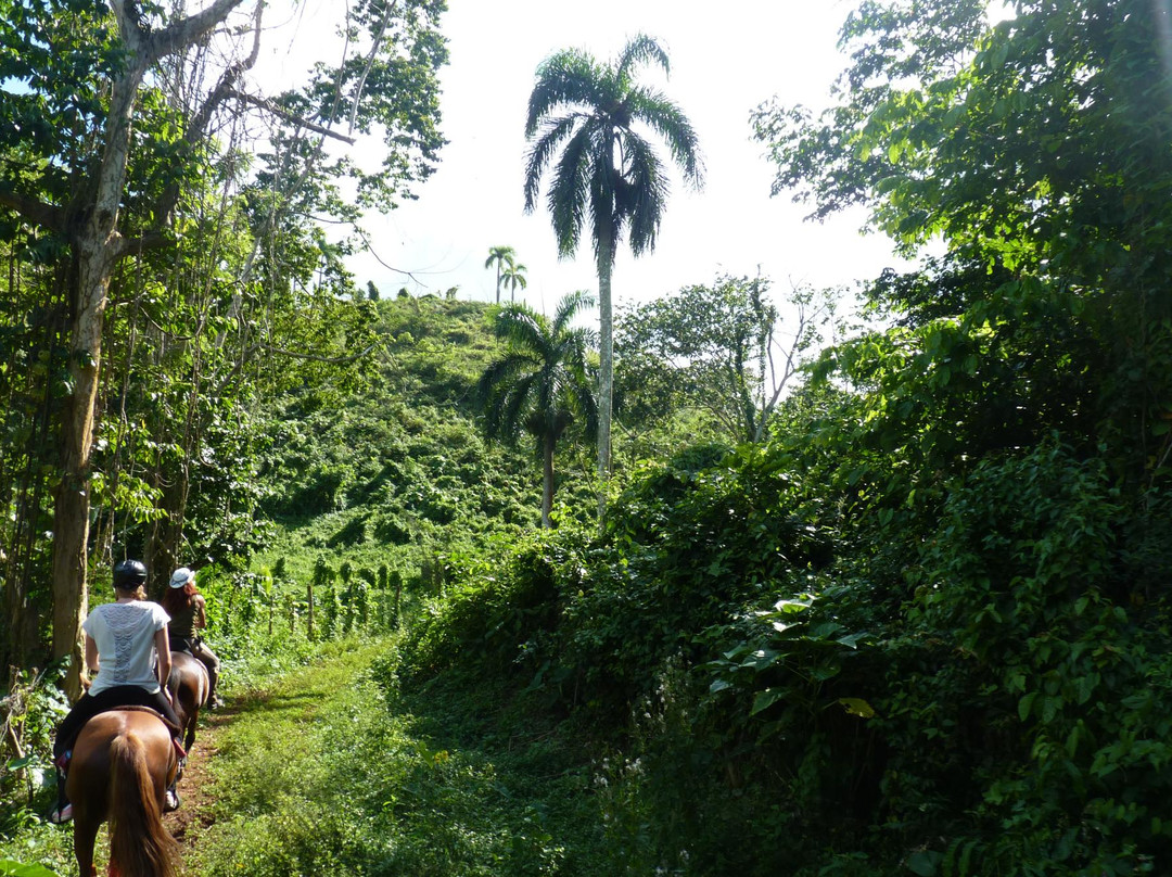 Hacienda la Suerte-拉斯特拉纳斯必去景点