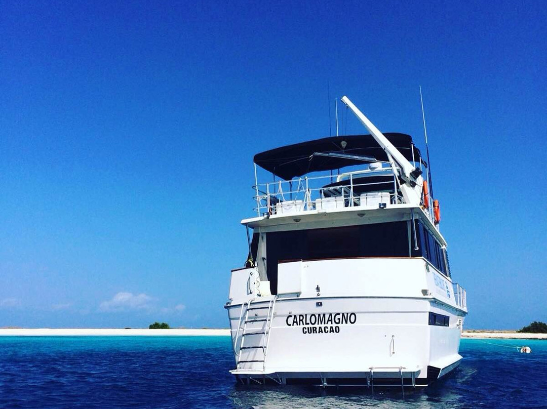 The Water Bus-威廉斯塔德必去景点