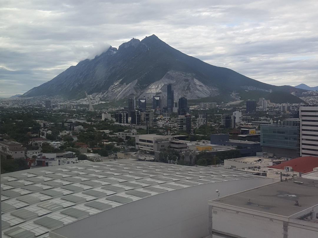 NH Collection Monterrey San Pedro主图