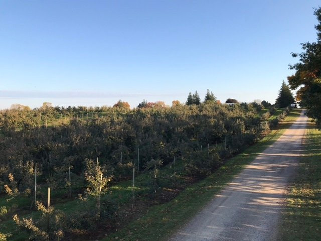 Orchard Home Farm-St. George必去景点