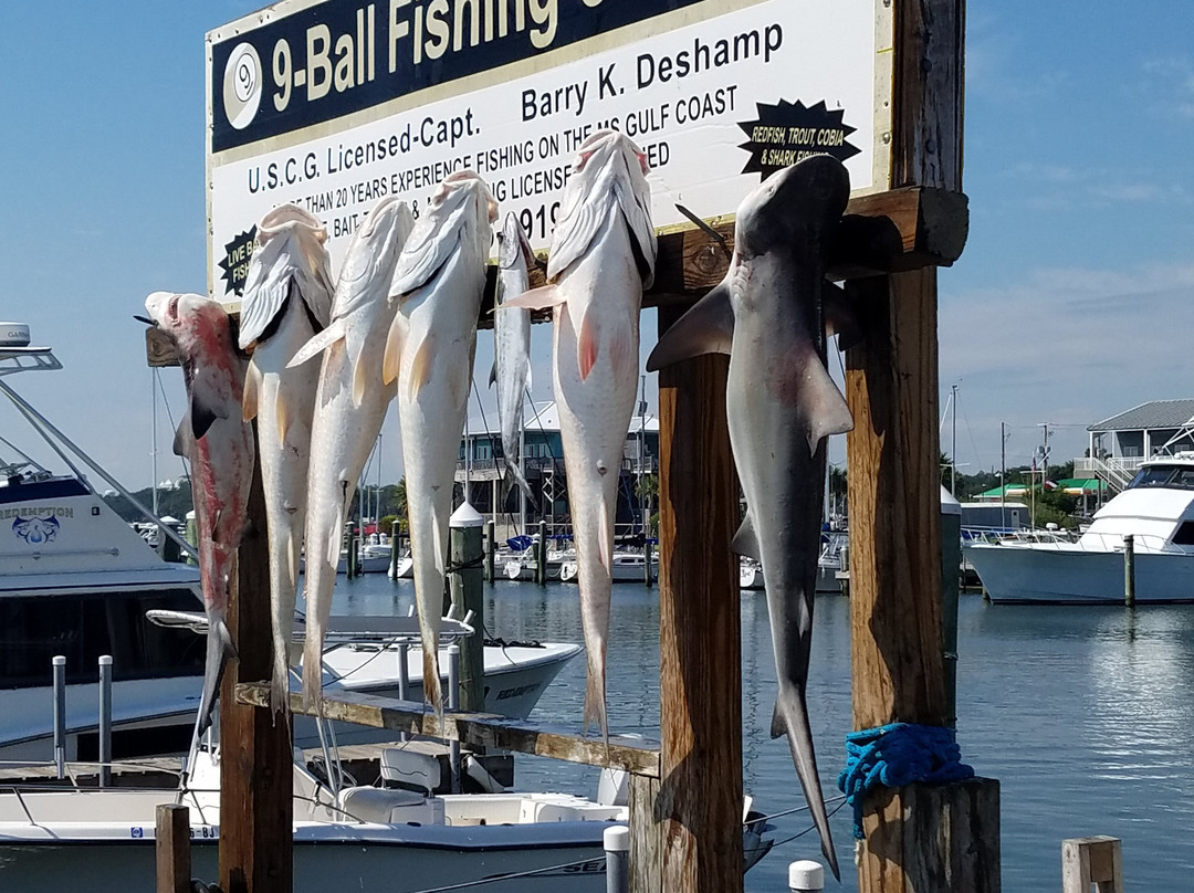 9-Ball Fishing Charters景点图片