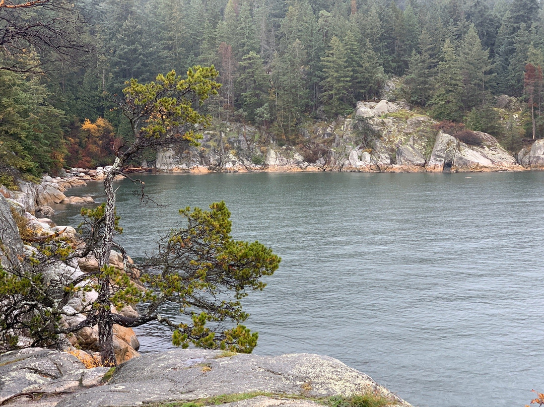 Point Atkinson Lighthouse景点图片
