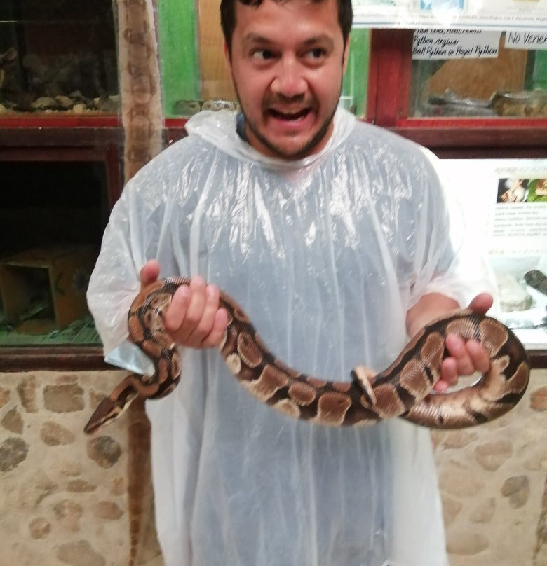 El Serpentario景点图片