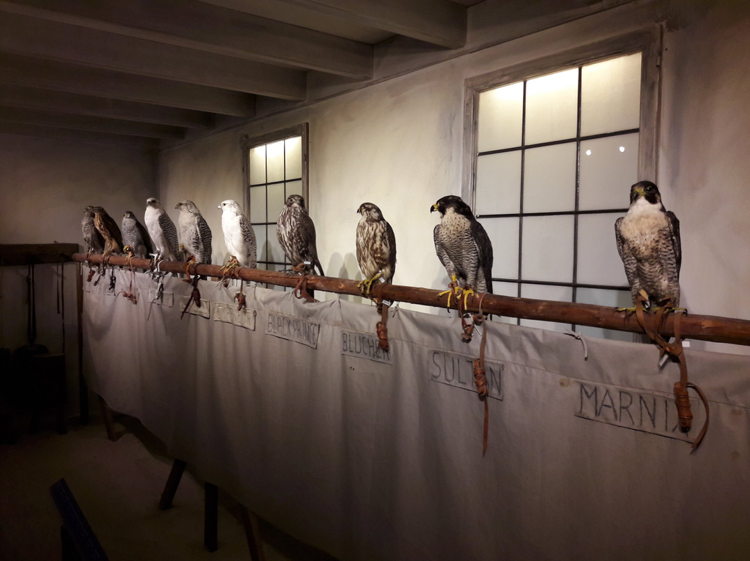 Dutch Museum of Lithography-Valkenswaard必去景点