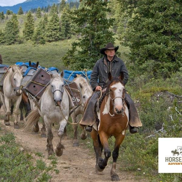 Horseback Adventures Ltd.