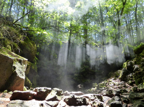 冨士エコツアー・サービス-富士河口湖町必去景点